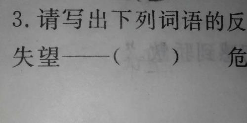 协调的反义词是什么