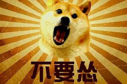 怂的反义词是什么
