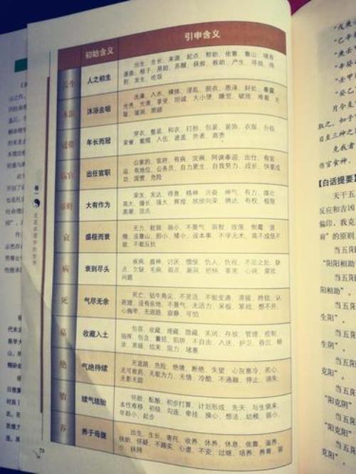 食官是什么意思