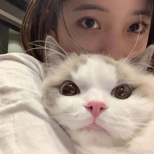 怎么抱猫，猫才舒服