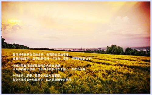 观与觉的区别