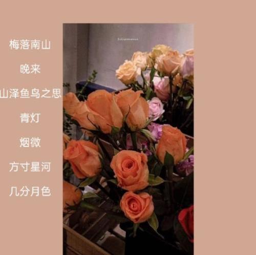 玫瑰高级昵称