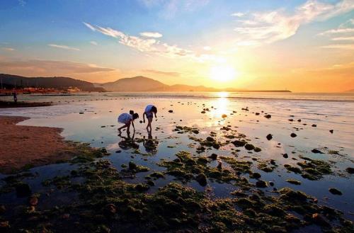赶海是什麽意思