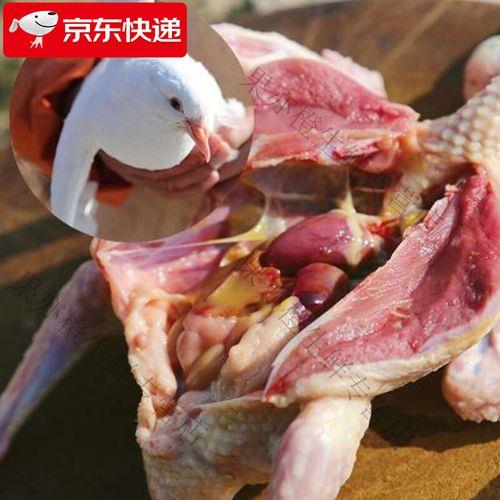 杀鸽子正确方法