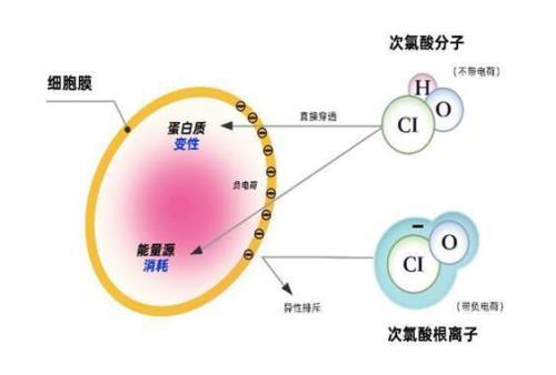 次氯酸的优缺点