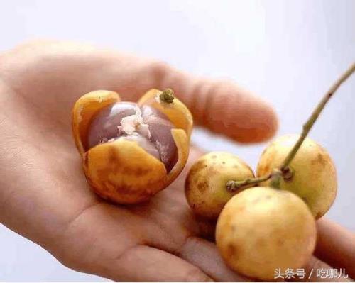 稀有水果