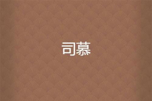慕雨和司夜大结局