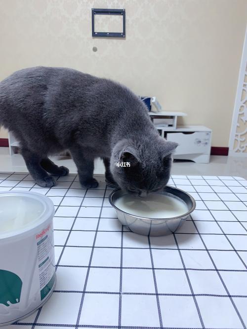 猫咪奶粉开了放几个月还能喝吗