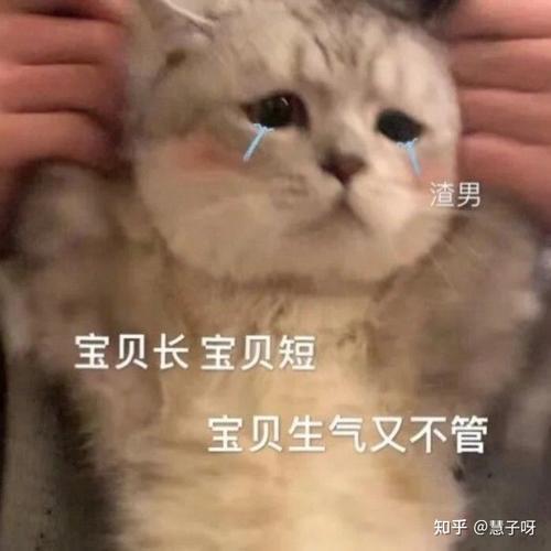 男朋友说行了吧什么意思