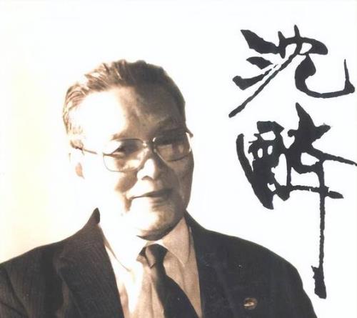 沈醉为什么没逃跑