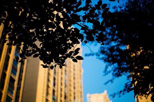 静看岁月从容自在