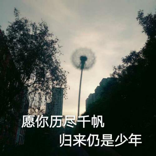 愿你半生归来仍是少年经典语录