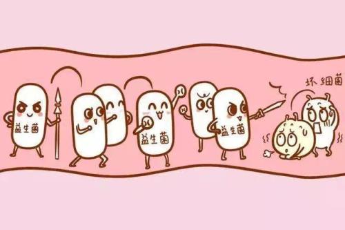 益生元和益生菌一样吗