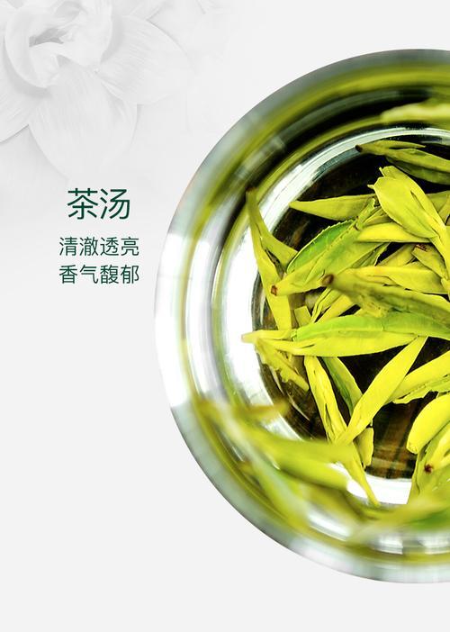 茉莉龙井口味怎么样