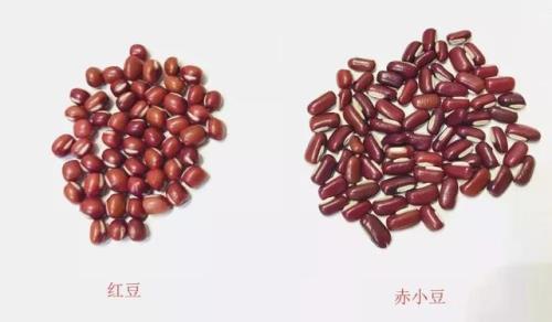 赤小豆炒熟和不炒区别