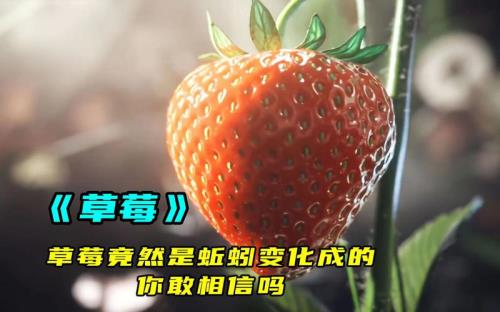 草莓是蚯蚓长成的吗
