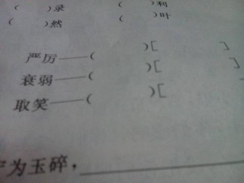 严格的反义词
