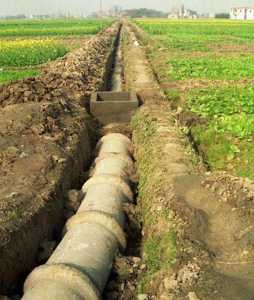 灌溉的意思是什么