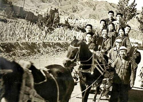 知青历史