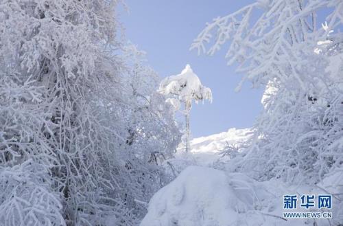 现在龙苍沟有雪没有