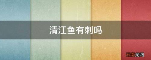 清江鱼刺多不多