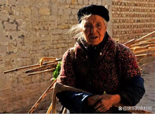 老年人仍然很美成语是什么