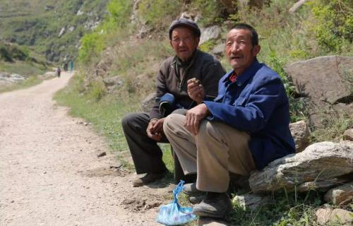我想回农村谚语
