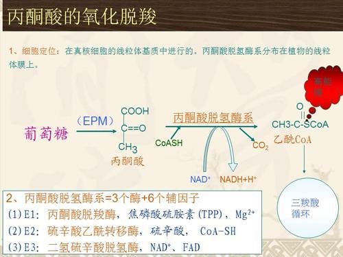 丙酮和乙酸互溶吗