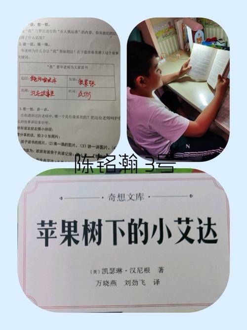 苹果树下的奇遇大结局