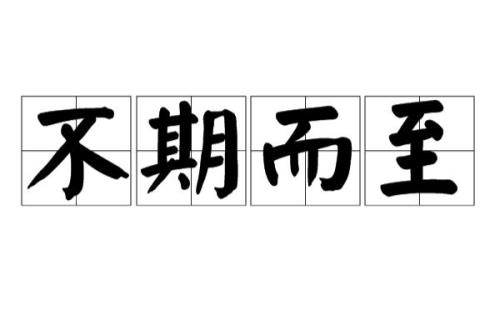 不期而至陆洋结局
