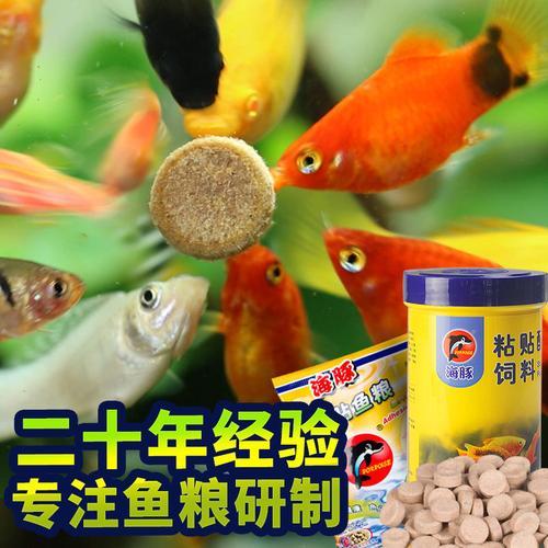 一片贴片鱼食够多少鱼吃