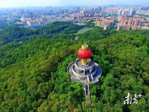 东莞黄旗山开放时间