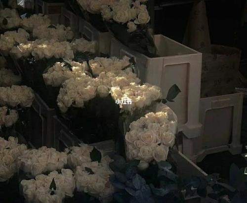 和花有关的文案