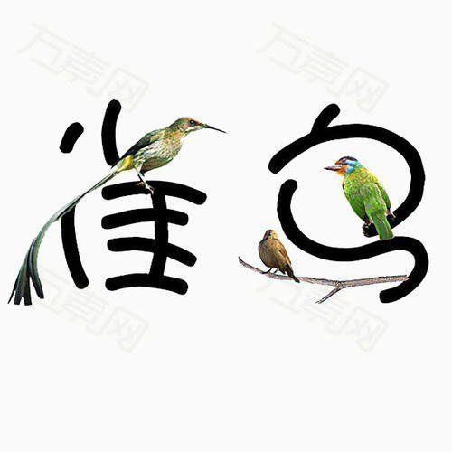 鸟字一共有几笔