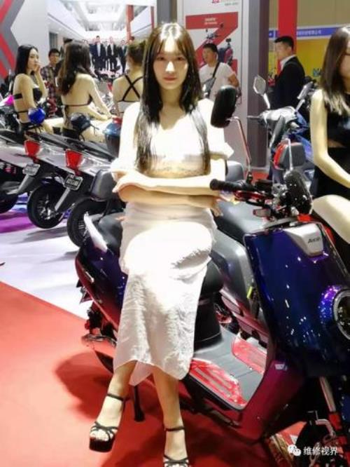 佳丽的意思