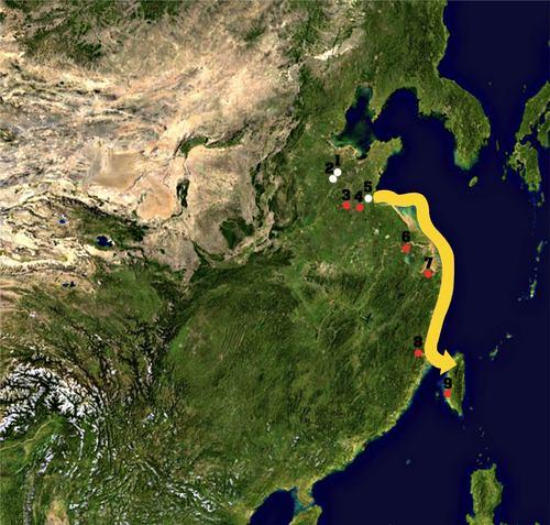 燕子迁徙路线