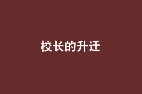 从大学毕业后一步步升官的小说