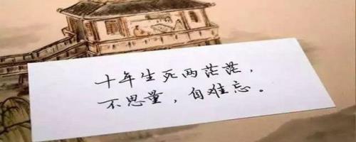 十年生死两茫茫下一句搞笑