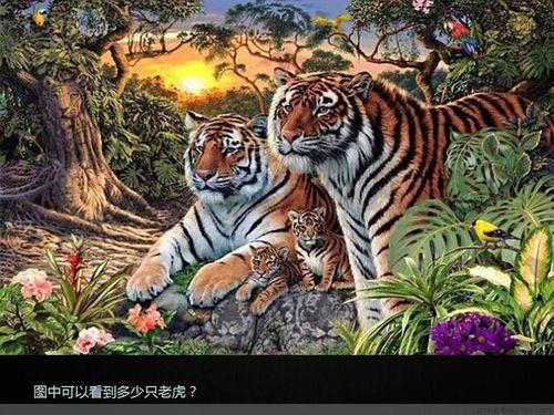 如何测智商