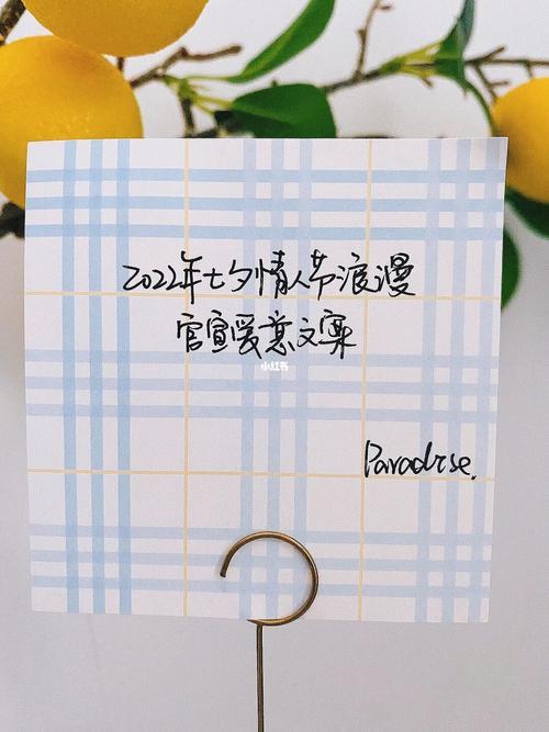 遇见你很幸运文案情侣