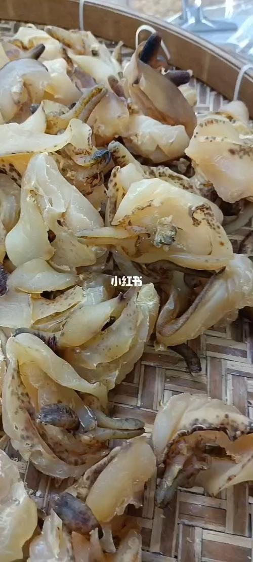 响锣和角螺如何区分