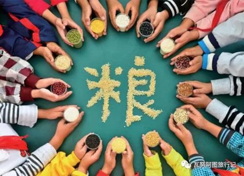 粮食安全的重要意义