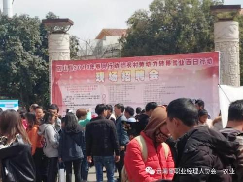 农村半小时就业服务圈介绍提纲