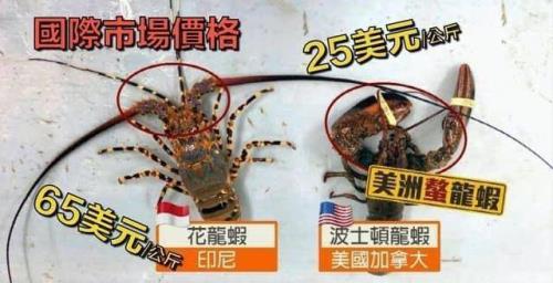 花龙怎么保存放冰箱