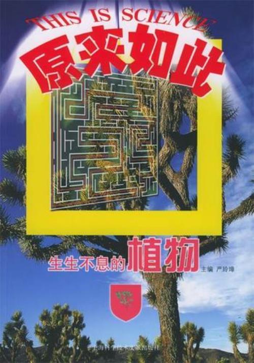 生生不息的意思