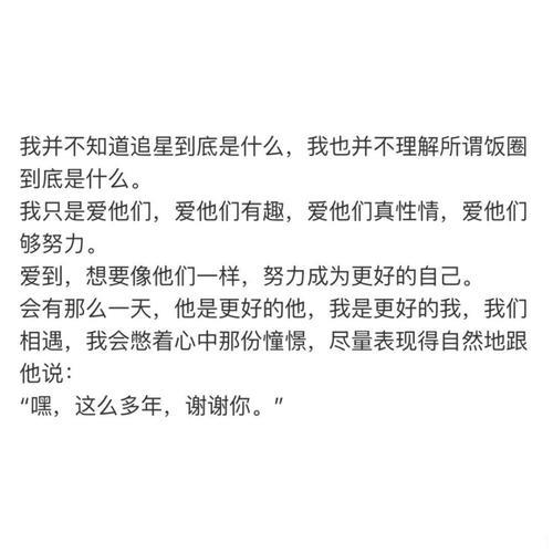 关于追星的文案