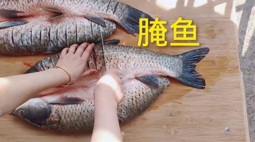 过年送礼为什么不能送混子鱼