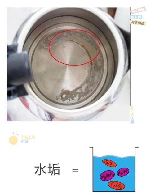 水垢的主要成分是什么