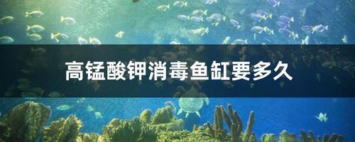 下完高锰酸钾鱼趴缸