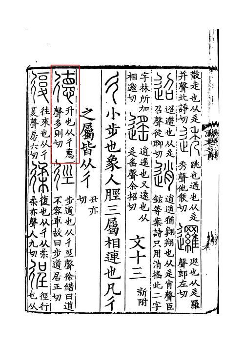 德2和德3是什么